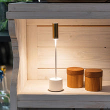 Indlæs billede til gallerivisning NYHED Carolina LED lampe