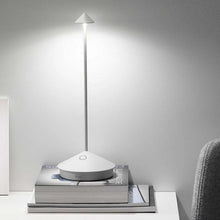 Indlæs billede til gallerivisning Pina LED lampe