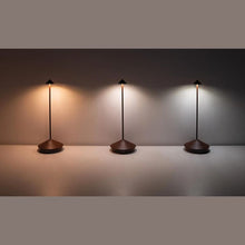 Indlæs billede til gallerivisning Pina LED lampe