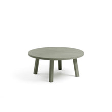 Indlæs billede til gallerivisning Maximo Mini 70 cm Cactus Nardi Outdoor