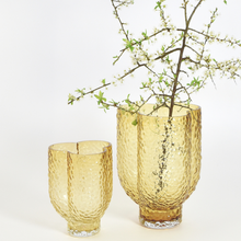 Indlæs billede til gallerivisning Arura Amber