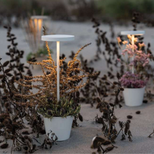 Indlæs billede til gallerivisning Poldina Reverse LED lampe