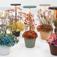 Indlæs billede til gallerivisning Poldina Reverse LED lampe