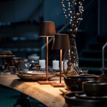 Indlæs billede til gallerivisning Poldina Mini LED lampe