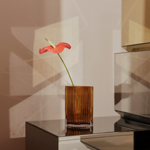 Indlæs billede til gallerivisning Folium Amber