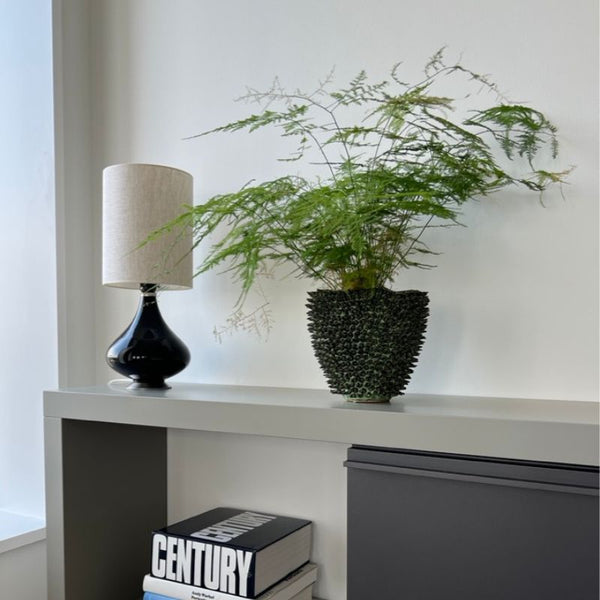 Flavia Mini Bordlampe sort