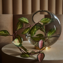 Indlæs billede til gallerivisning Globe vase - Black/Gold
