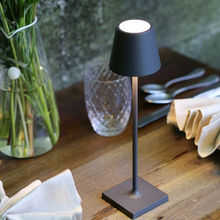 Indlæs billede til gallerivisning Poldina LED lampe

